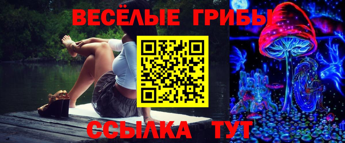 Псилоцибиновые грибы ЛСД Сызрань