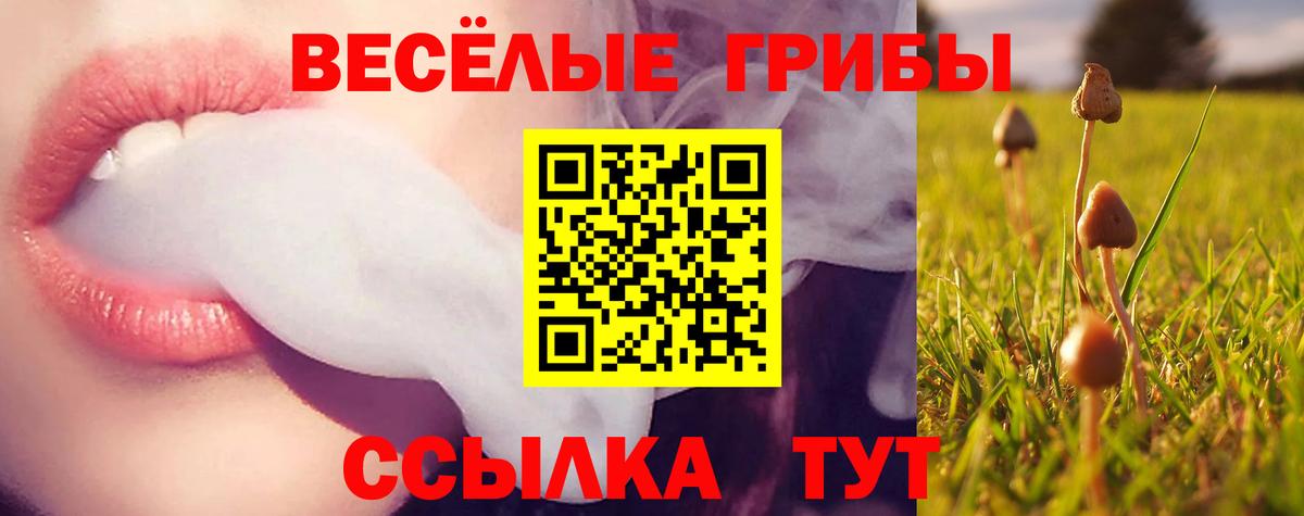 Сызрань  закладка  Вход с VPN  Галлюциногенные грибы прущие грибы 